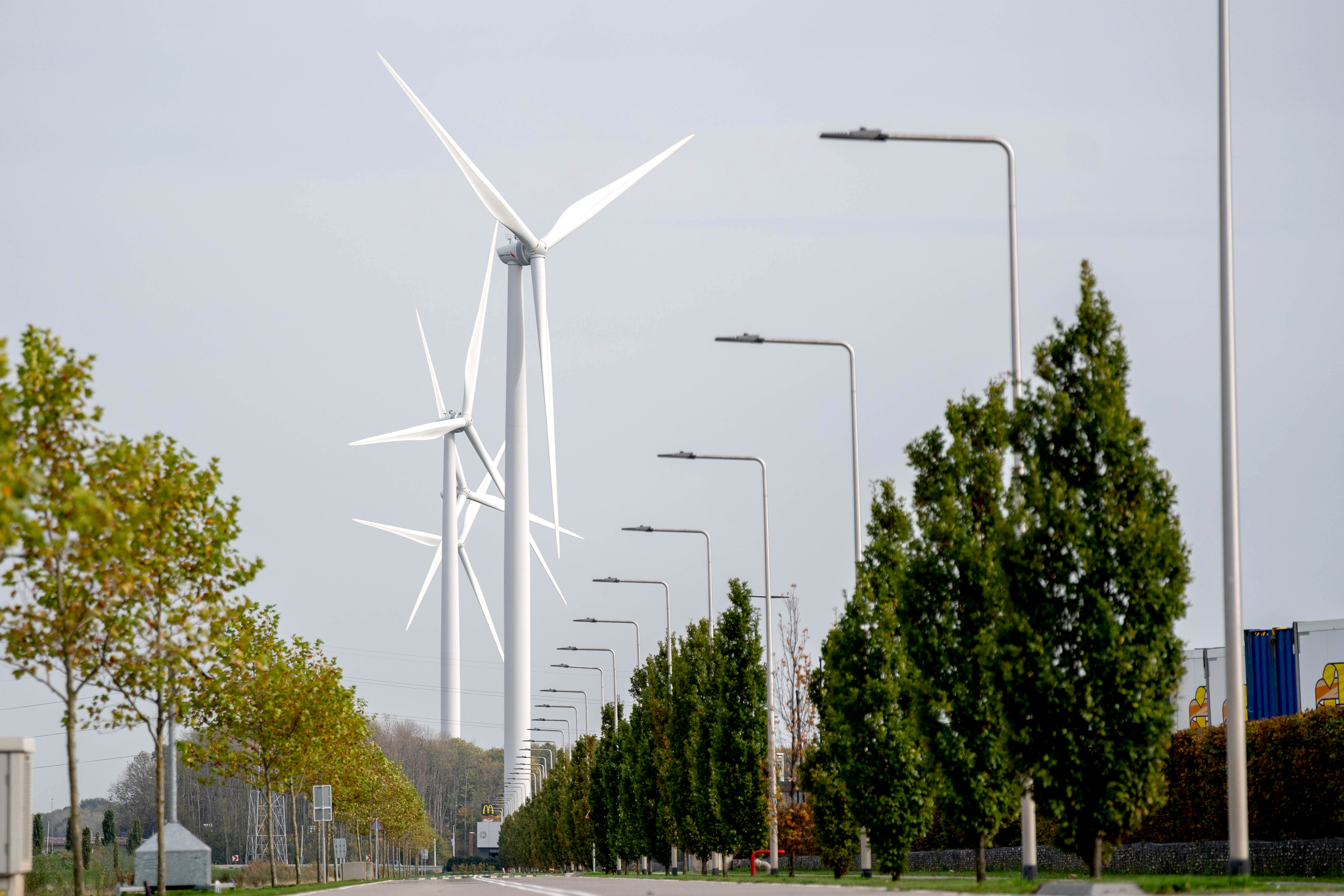 Logistieke Bedrijventerrein Overbetuwe 1