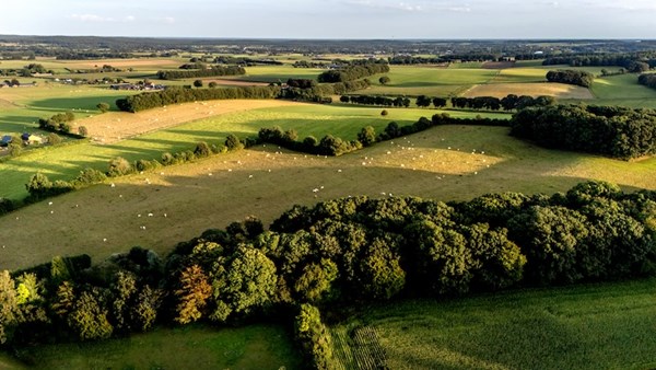 Duivelsberg in gemeente Berg en Dal